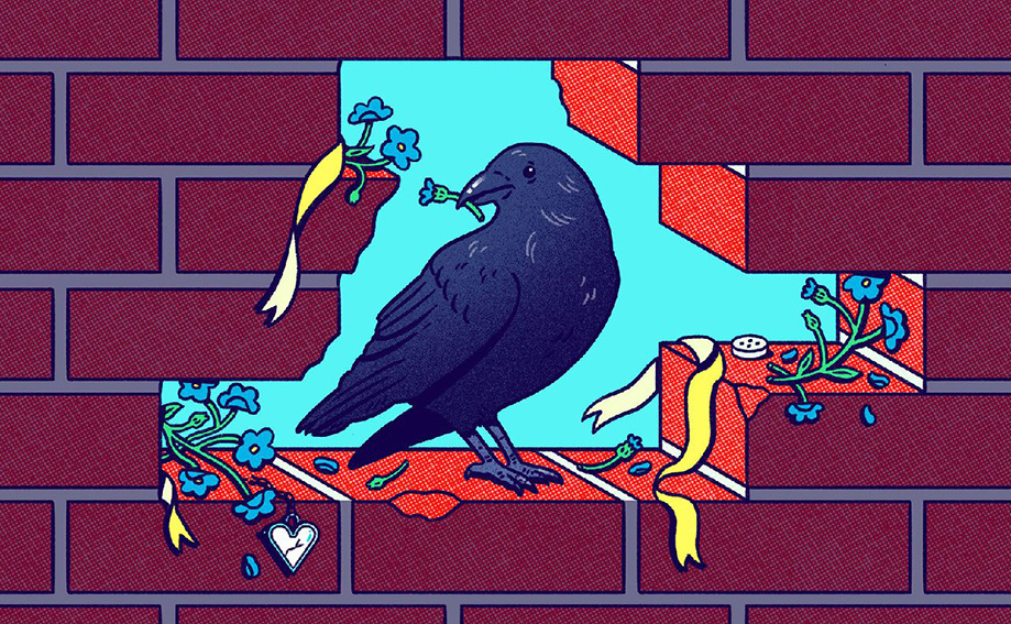 از چیزهای شکسته چه می‌توانیم بیاموزیم؟